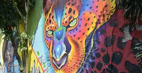 Um passeio pelo mural de grafite na 23 de Maio