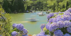 Foto: (agustavop/iStock)