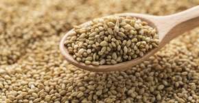 Foto: (Getty Images/iStockphoto)