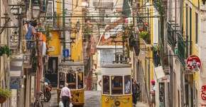 Foto: (Imagem sem texto alternativo disponivel ID [1394215])