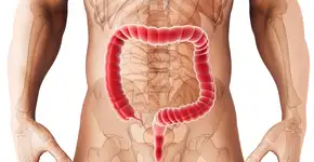 Novo estudo revela que um tipo de vitamina específica é capaz de reduzir risco de câncer de intestino