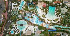 Foto: (Divulgação)