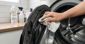 Foto: (Imagem sem texto alternativo disponivel ID [2756875])