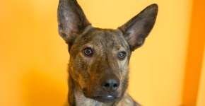 Encontro “Performance” no CCSP