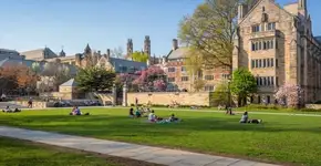 Como entrar em uma das universidades da Ivy League?