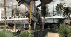 Foto: (Imagem sem texto alternativo disponivel ID [2251207])