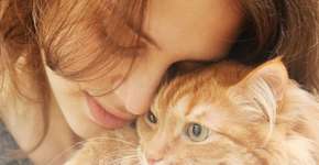 Conversar e brincar com seu gato faz bem para a saúde dele, revela estudo