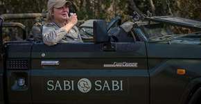 Mulheres desafiam a norma e se tornam guias em reservas de safári