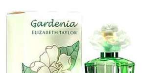 Perfume de gardênia