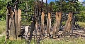 ‘Cadê os Yanomami’: O que se sabe sobre o sumiço da aldeia indígena