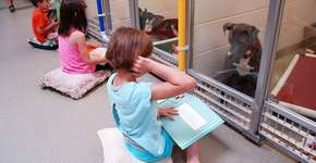 Foto: (Imagem sem texto alternativo disponivel ID [1038359])