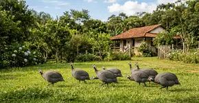 Foto: (Imagem sem texto alternativo disponivel ID [2757513])