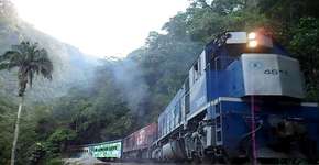 Foto: (Divulgação)