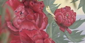 Foto: (Imagem sem texto alternativo disponivel ID [650772])