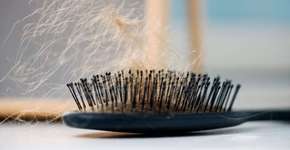 Remédio para osteoporose faz cabelo crescer, descobrem cientistas