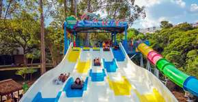 Foto: (Divulgação)