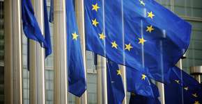 Foto: (PeskyMonkey/iStock)