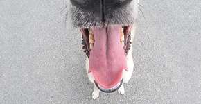 Foto: (Imagem sem texto alternativo disponivel ID [891394])