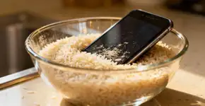 Foto: (Imagem sem texto alternativo disponivel ID [2668998])