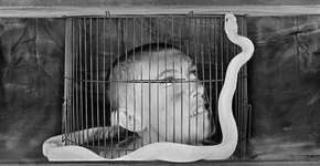 Foto: (Imagem sem texto alternativo disponivel ID [832585])