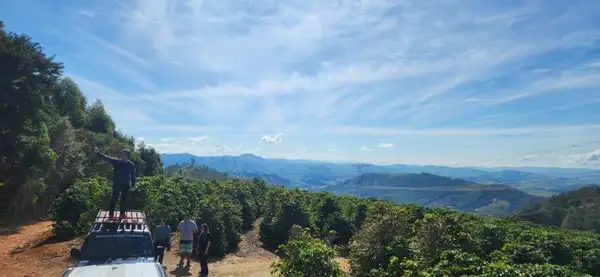 Parte do passeio é feito por cafezais na zona rural de Serra Negra