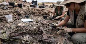 O que parecia uma pedra com algumas pernas e vértebras acabou se tornando uma sensação científica: foi assim que Doolysaurus, o novo dinossauro da Coreia do Sul, veio à tona