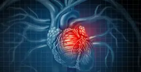 Foto: (wildpixel/istock)