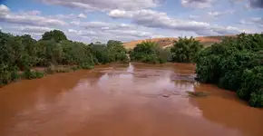 SOS Mata Atlântica divulga estudo sobre o impacto da tragédia de Mariana