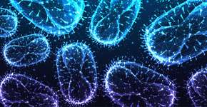 Foto: (inkoly/istock)