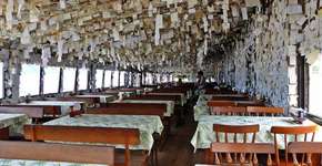 Foto: (Imagem sem texto alternativo disponivel ID [1869103])