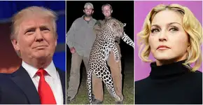 Foto: (Imagem sem texto alternativo disponivel ID [1132466])