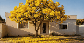 Foto: (Imagem sem texto alternativo disponivel ID [2738295])