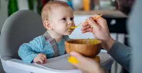 Foto: (ArtistGNDphotography/istock)