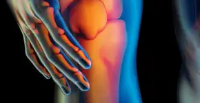 Esta fruta ajuda a prevenir dores nos ossos