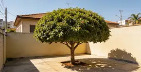 Foto: (Imagem sem texto alternativo disponivel ID [2703909])