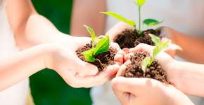 Projeto de lei quer tornar educação ambiental disciplina obrigatória nas escolas
