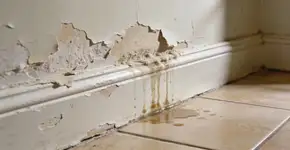 Foto: (Imagem sem texto alternativo disponivel ID [2725261])