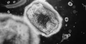 Foto: (kontekbrothers/istock)