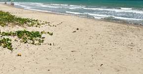 Foto: (Maíra Campos)