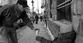 Imagens mostram que nem tudo está perdido