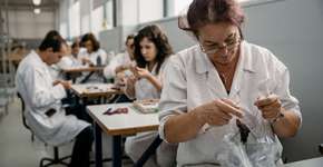 Foto: (Imagem sem texto alternativo disponivel ID [1846241])