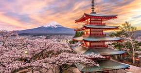 Foto: (Sean Pavone/iStock)