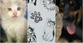 Em SP, faça uma tattoo e ajude a arrecadar doações para animais abandonados