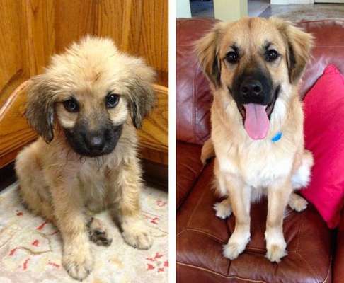 4 meses de diferença (Imagem:  CaityyRae)