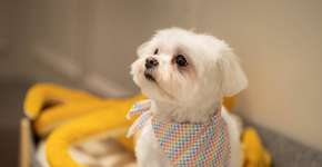 Foto: (Divulgação)