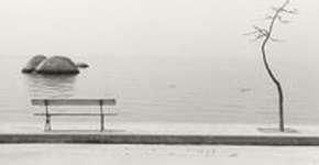 Foto: (Imagem sem texto alternativo disponivel ID [1850654])