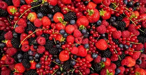 Foto: (iStock/ amriphoto)