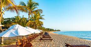 Foto: (Divulgação)