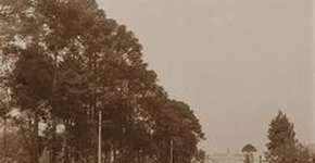 Foto: (Imagem sem texto alternativo disponivel ID [1896230])