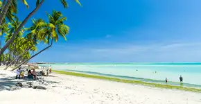 Foto: (Thiago Santos/iStock)